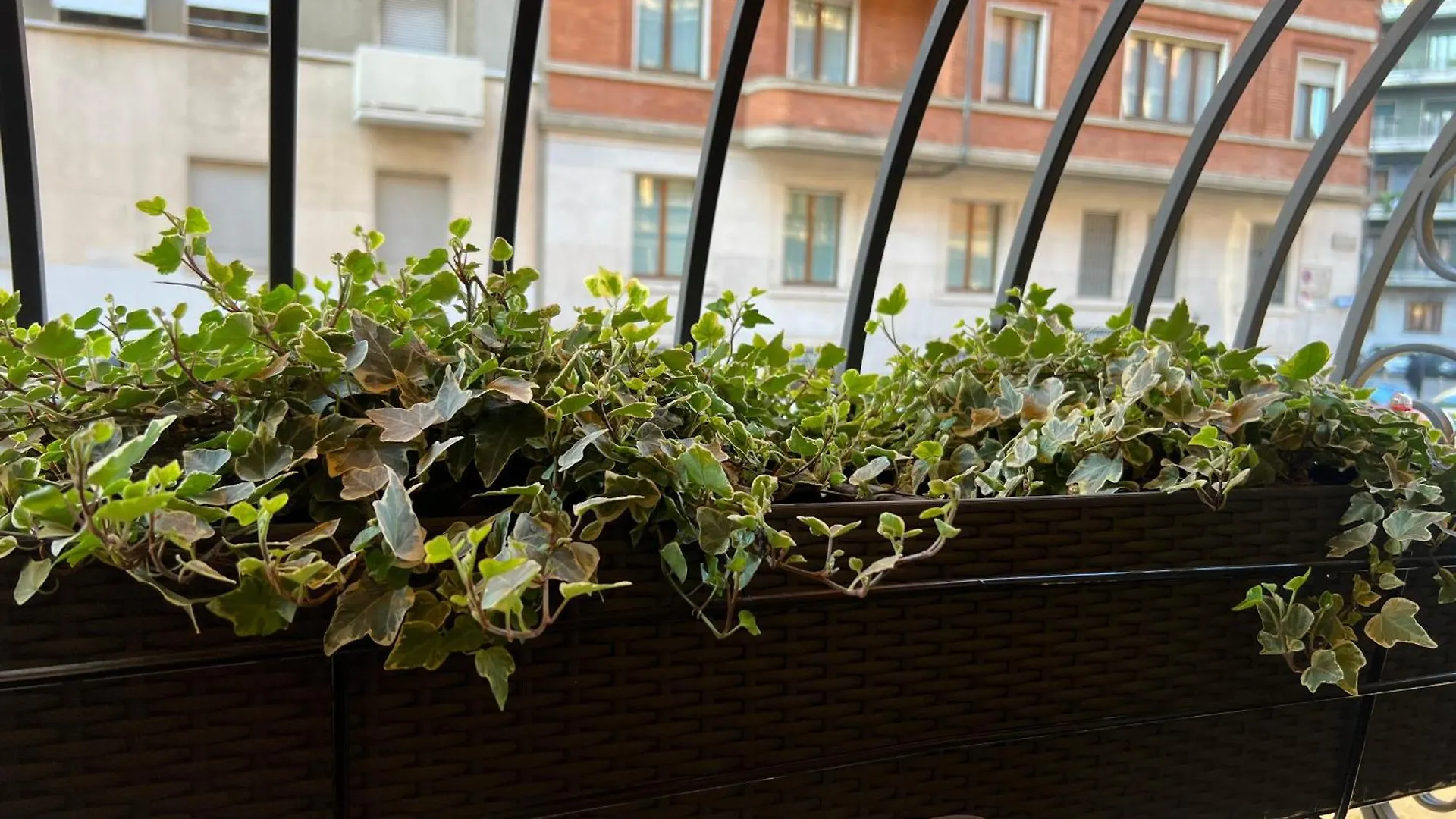 Apartment Corso Buenos Aires Suite Central Station Milan